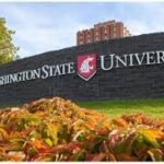 Washington State University: A Hub of Excellence and Innovation, Research and Innovation, Athletics and School Spirit