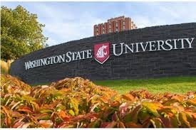 Washington State University: A Hub of Excellence and Innovation, Research and Innovation, Athletics and School Spirit